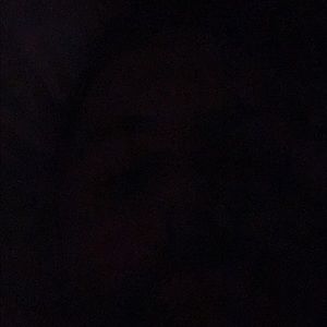 Meet your Posher, Bill